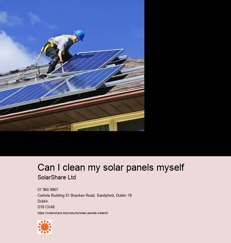 best solar panel companies