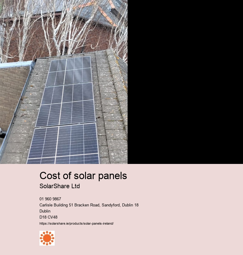 single solar panel cost