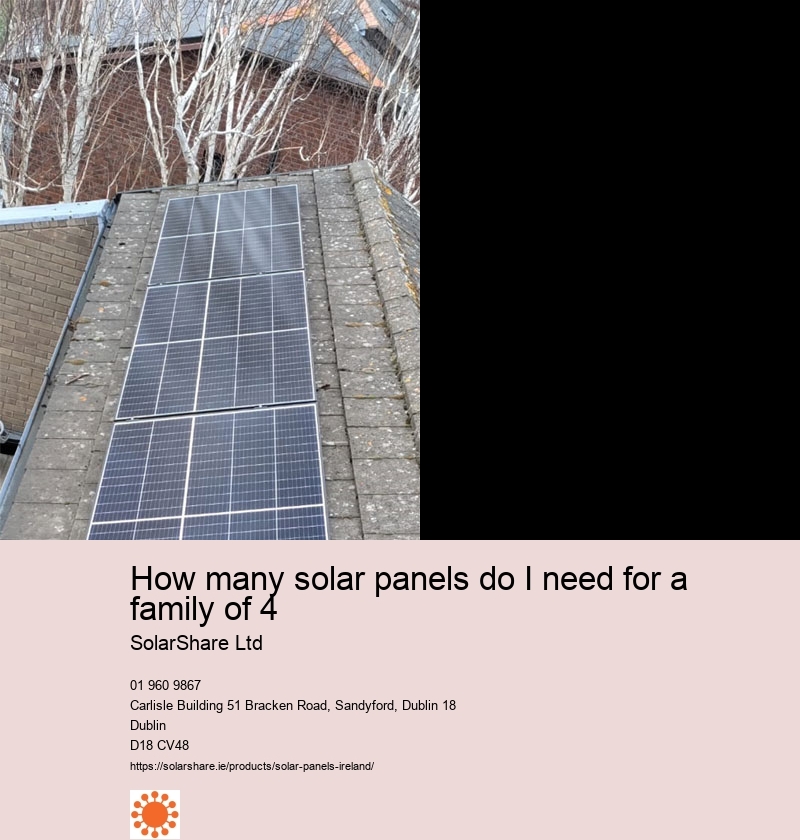 Can you plug solar inverter into house